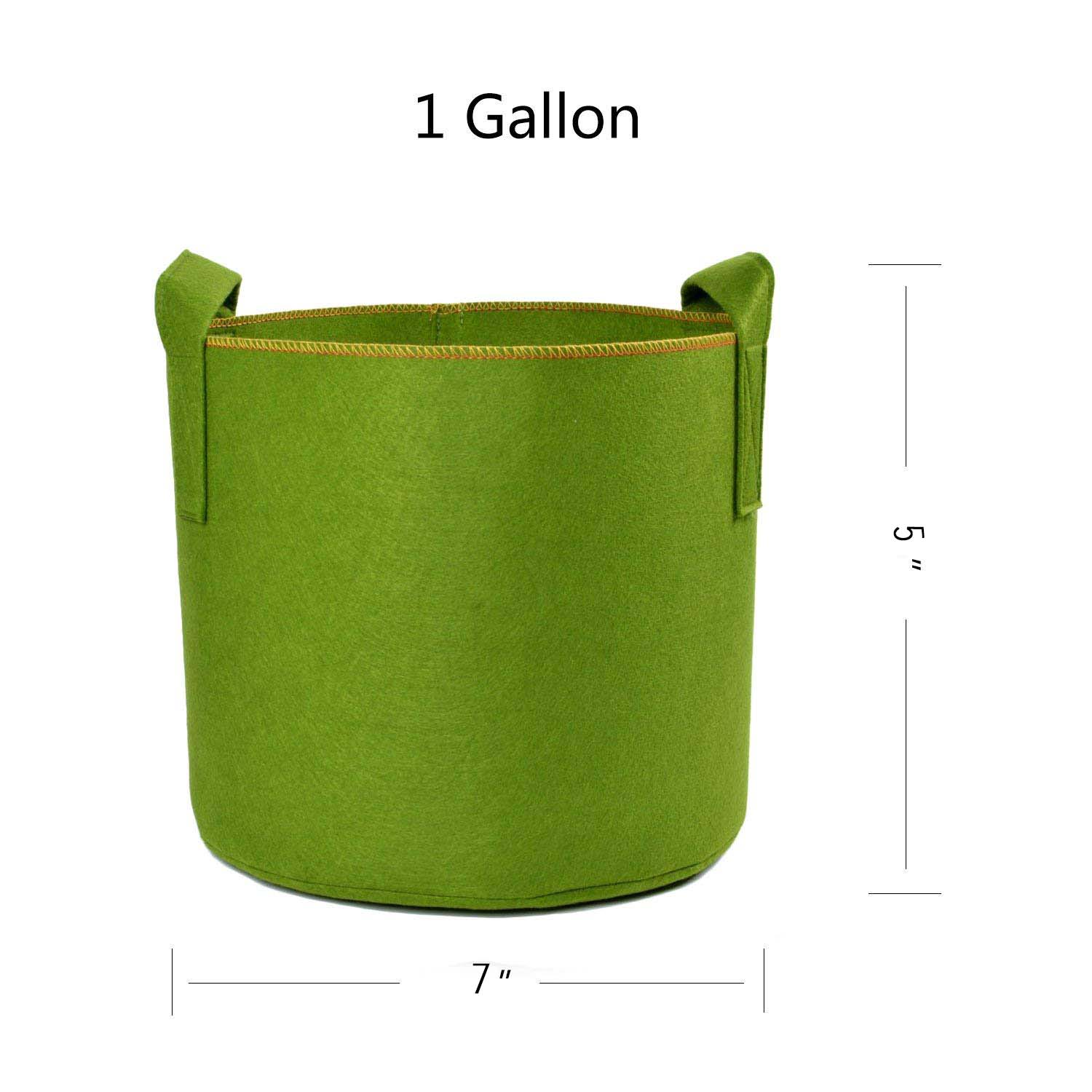 1gal-green-1.jpg