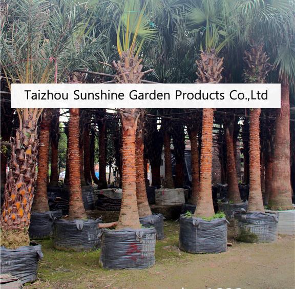 100L Plastic Woven Grow Bag