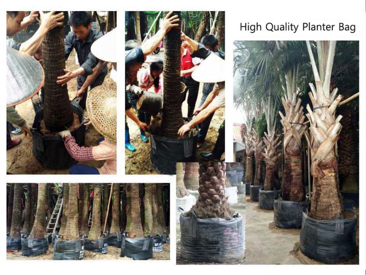 100L Plastic Woven Grow Bag