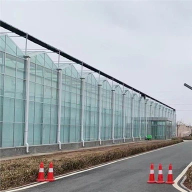 Сільськогосподарський полі тунель зелений будинок / томат парникових для продажу тунель теплиці