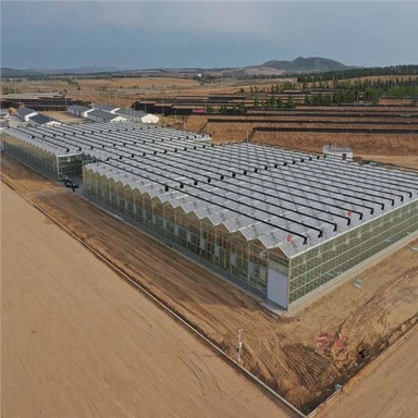 Скляні теплиці